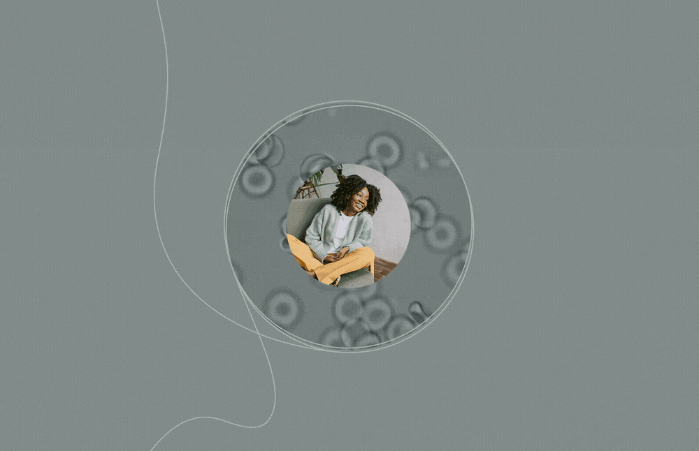 Function project visual 1