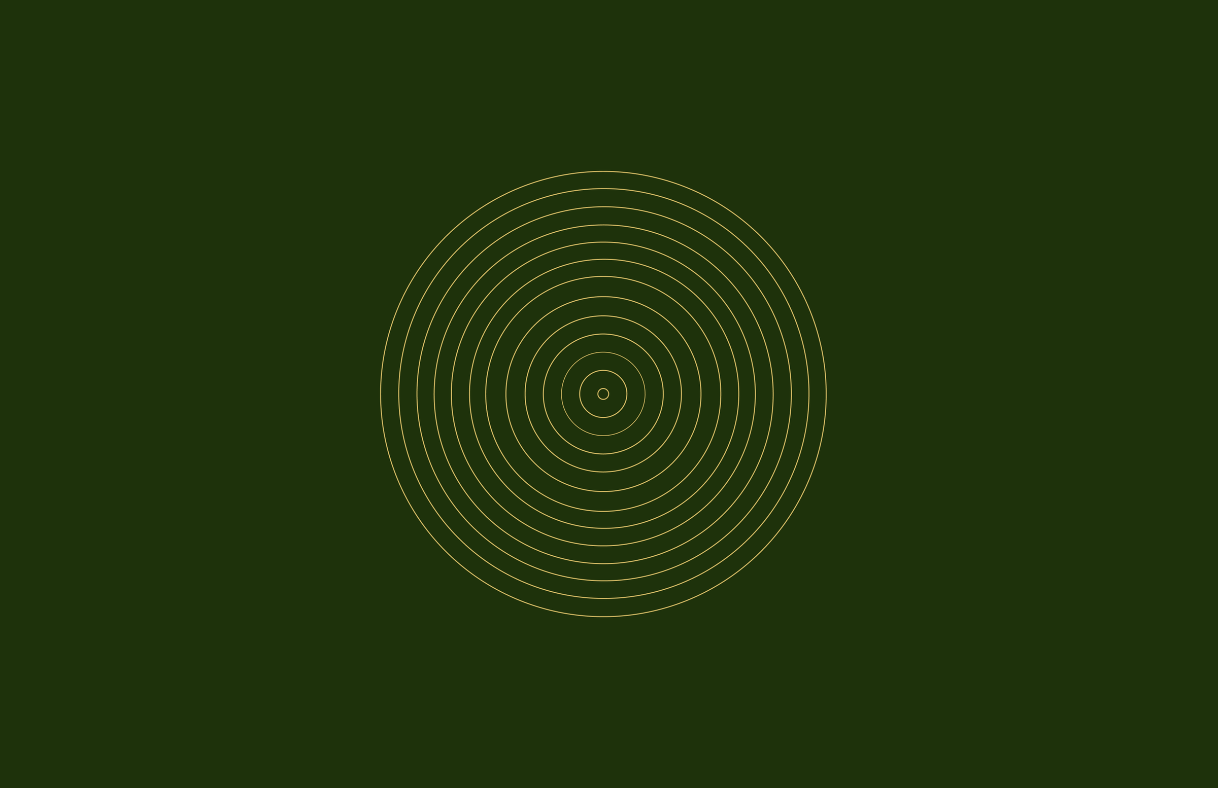 chief project visual 1