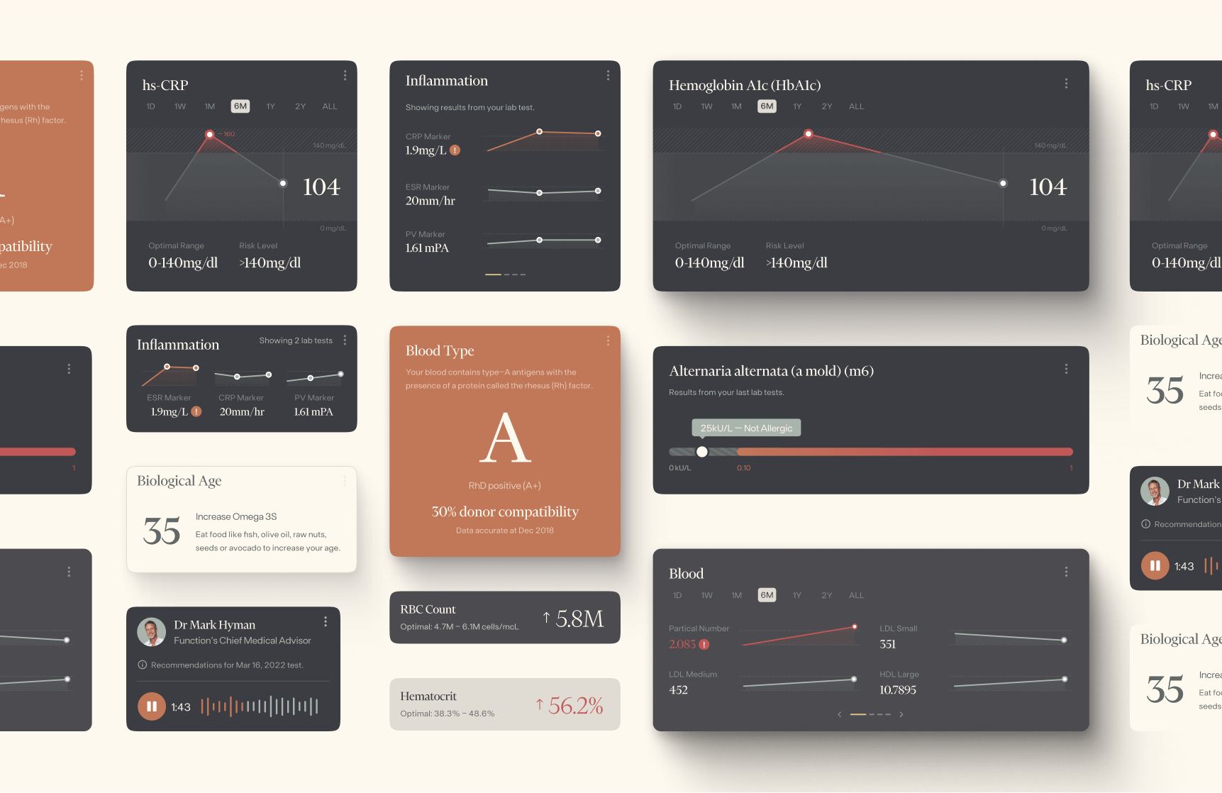Function project visual 14